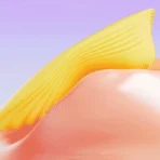 Little Didou - 图片 4